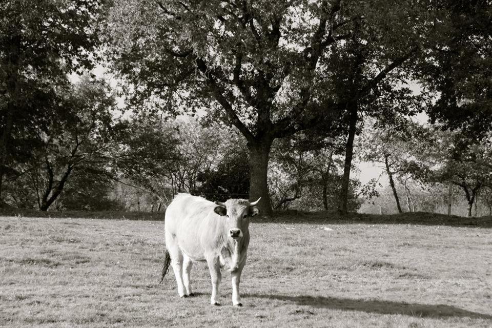 הוילה Rosnay  Petit Gite A La Ferme מראה חיצוני תמונה