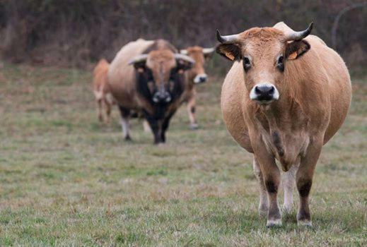 הוילה Rosnay  Petit Gite A La Ferme מראה חיצוני תמונה